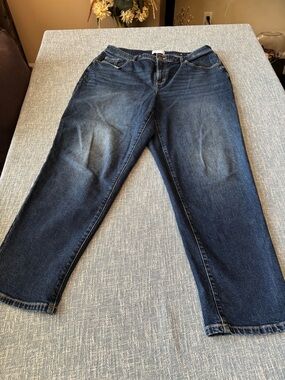 Lane Bryant Indigo Straight-Leg Jeans